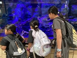 グループ活動で館内を見学する様子