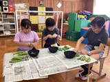 そら豆をさやから取り出す小学部児童の様子