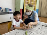 そら豆をさやから取り出す幼稚部幼児