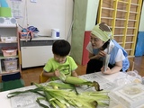 栄養教諭ととうもろこしの皮をむく幼稚部幼児