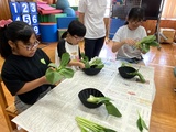チンゲンサイの葉をはがす小学部児童