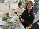 鹿の角に触れる生徒