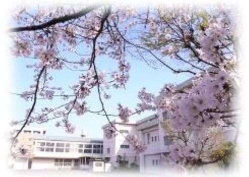 校庭の桜