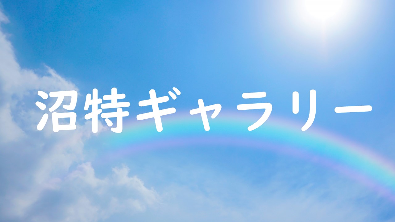 沼特ギャラリー