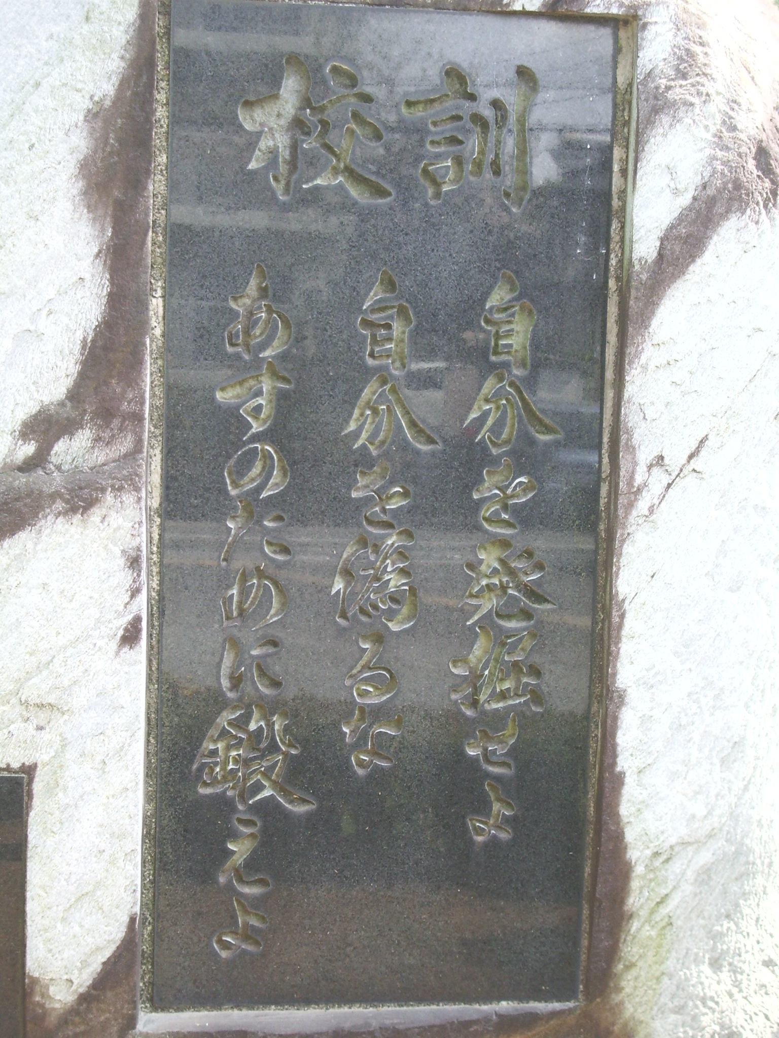 進路実績