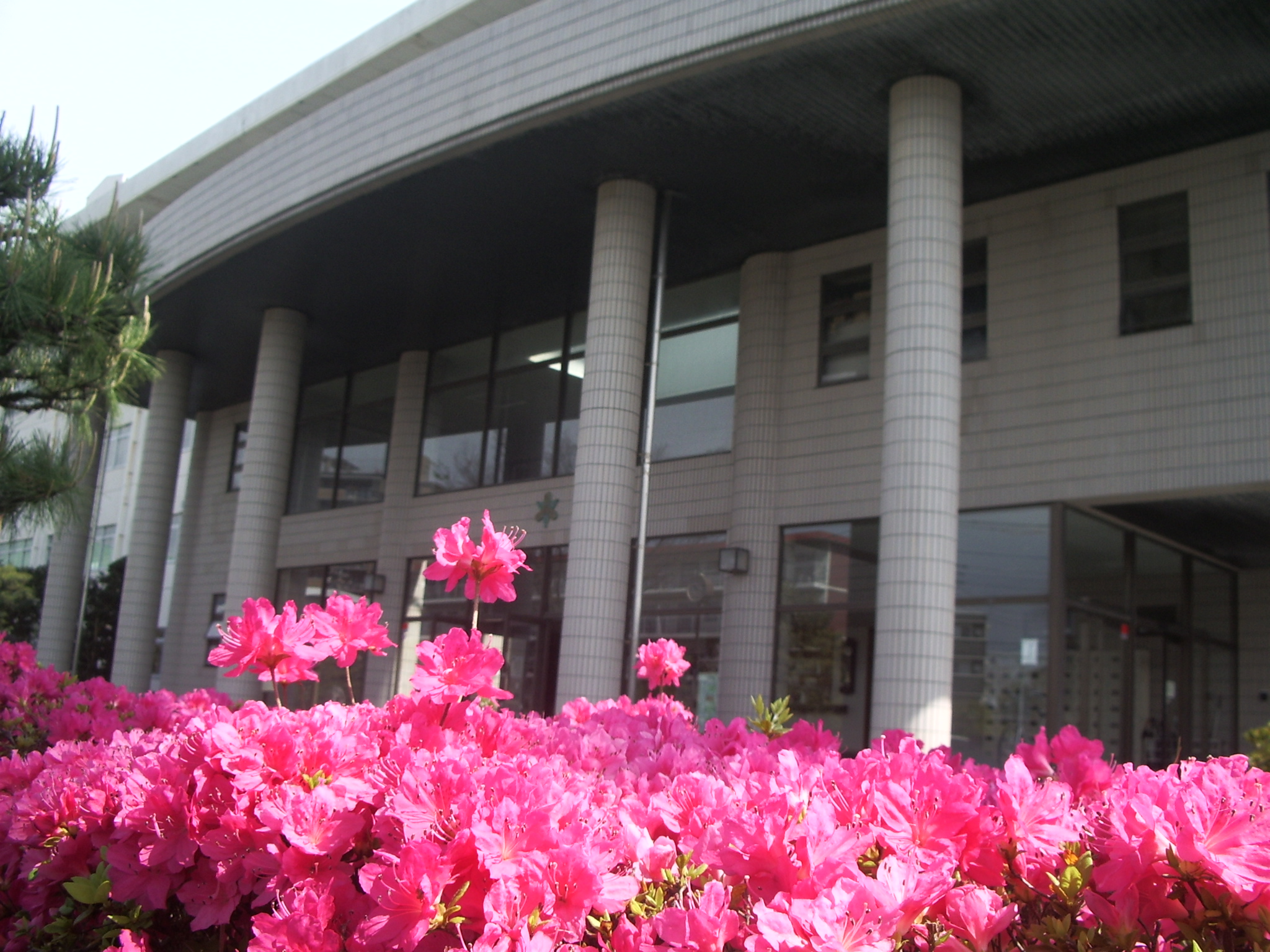 学校経営計画