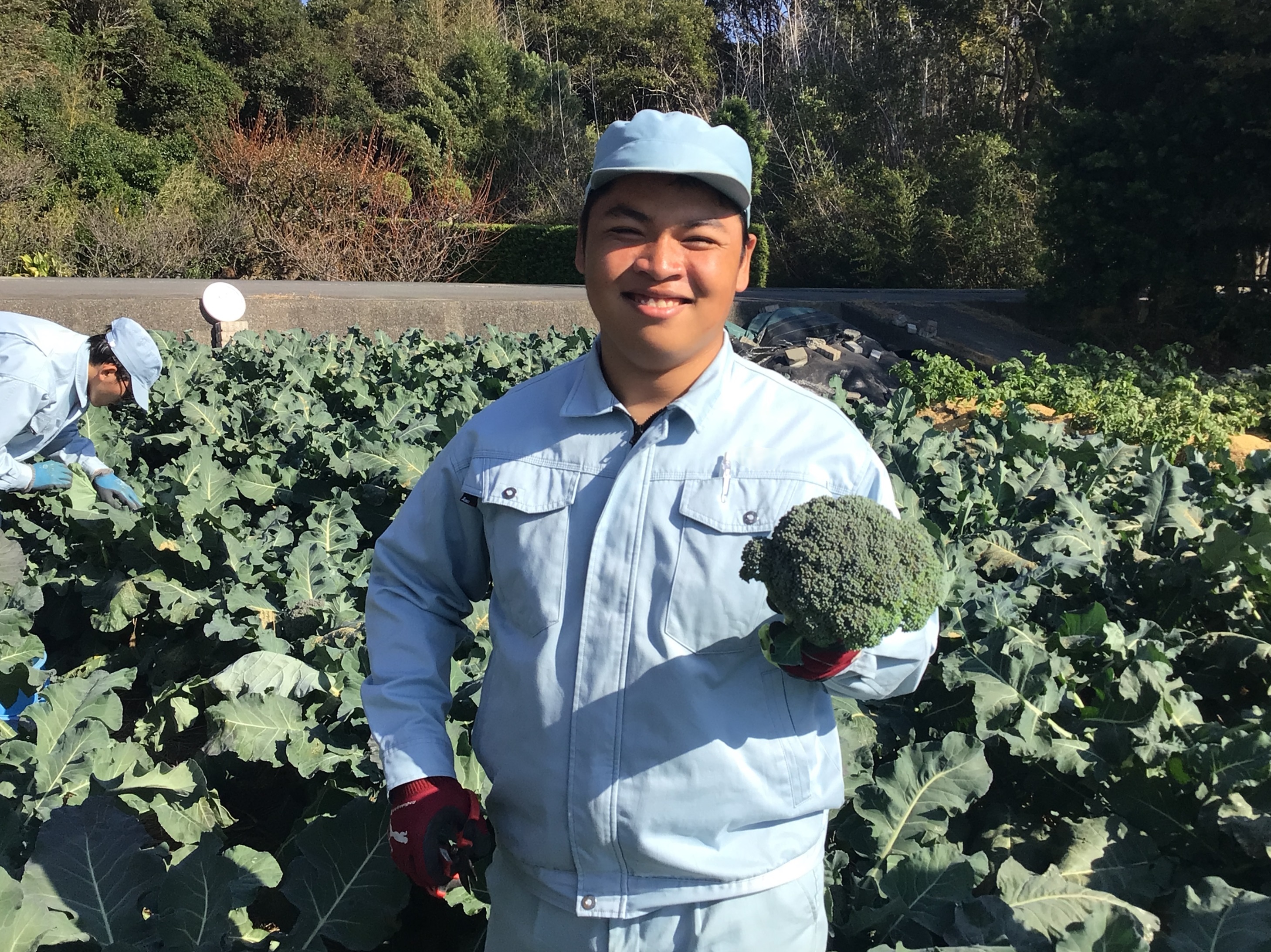 自主生産作業（農園芸班）
