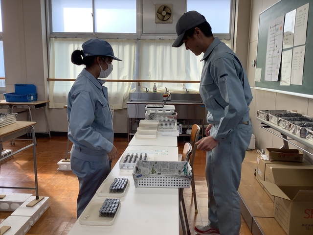校内実習