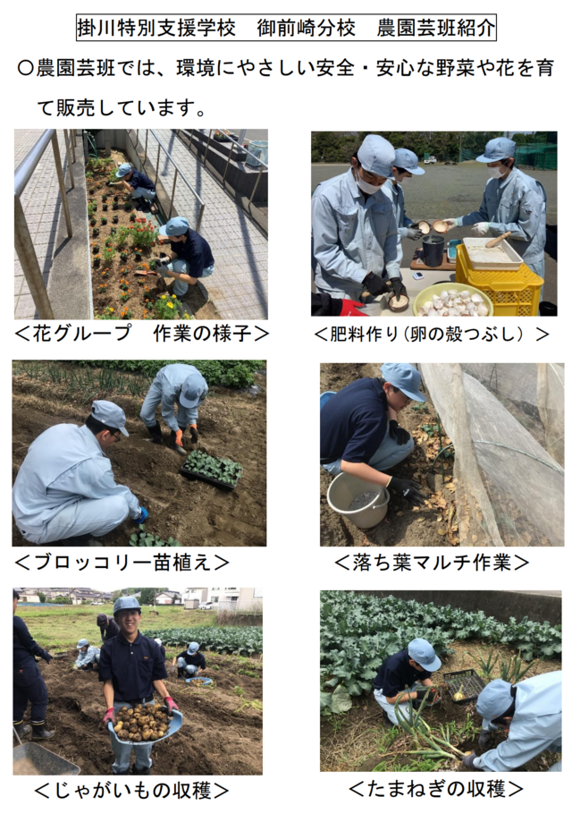 農園芸班