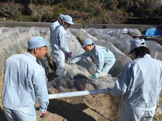 農園芸班②
