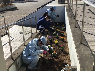 ブラボー花壇植え付け