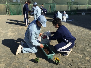 土入れ②