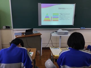 職業準備性ピラミッド