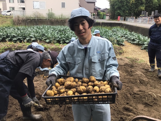 収穫③
