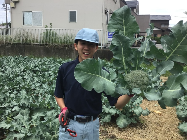 収穫⑤