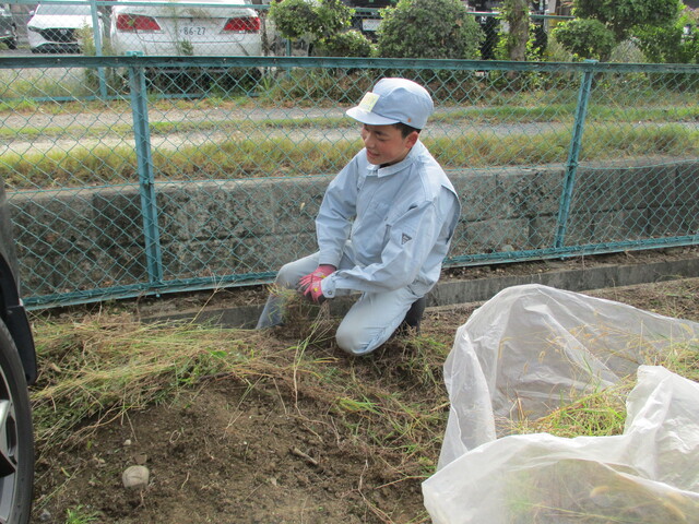 現場実習
