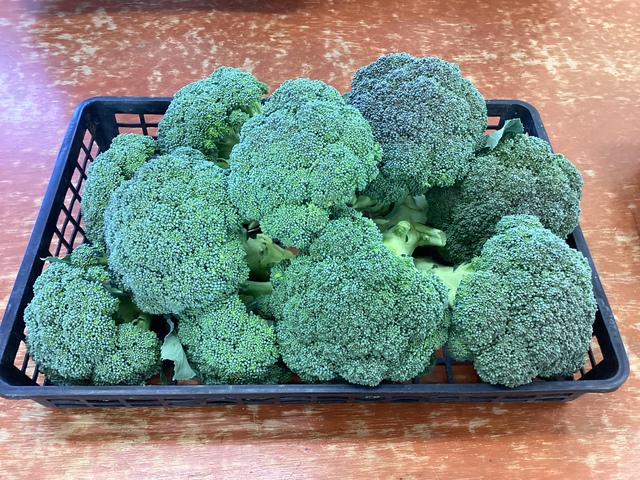 ブロッコリー