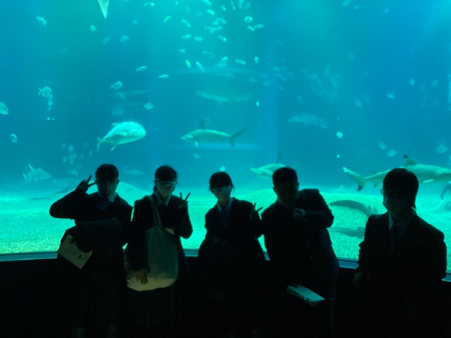 海遊館②