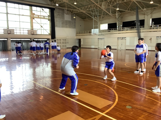 ポートボール
