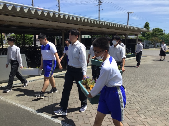 プランター片付け①