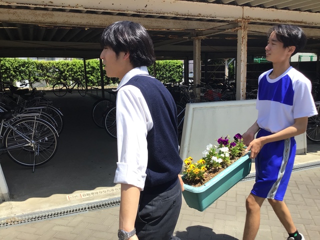 プランター片付け②