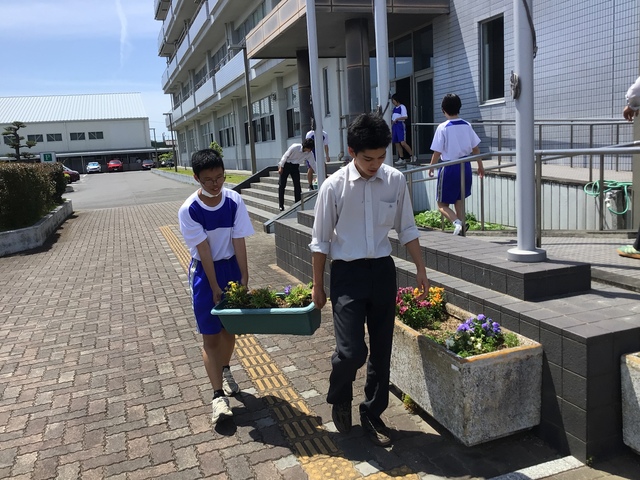 プランター片付け③
