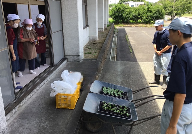 地域販売①