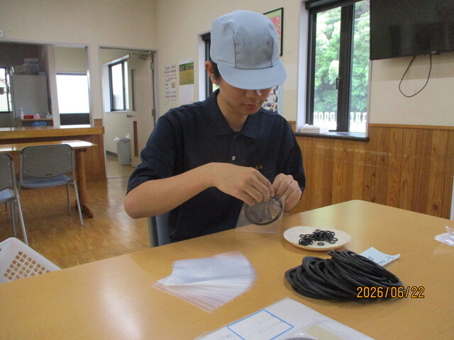現場実習