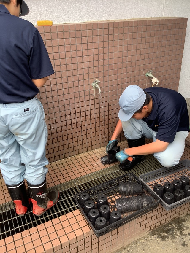 校内実習(2週目)⑥ 校内実習(2週目)⑥