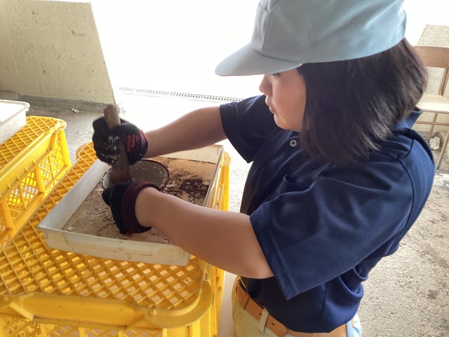 卵の殻を使った肥料作り