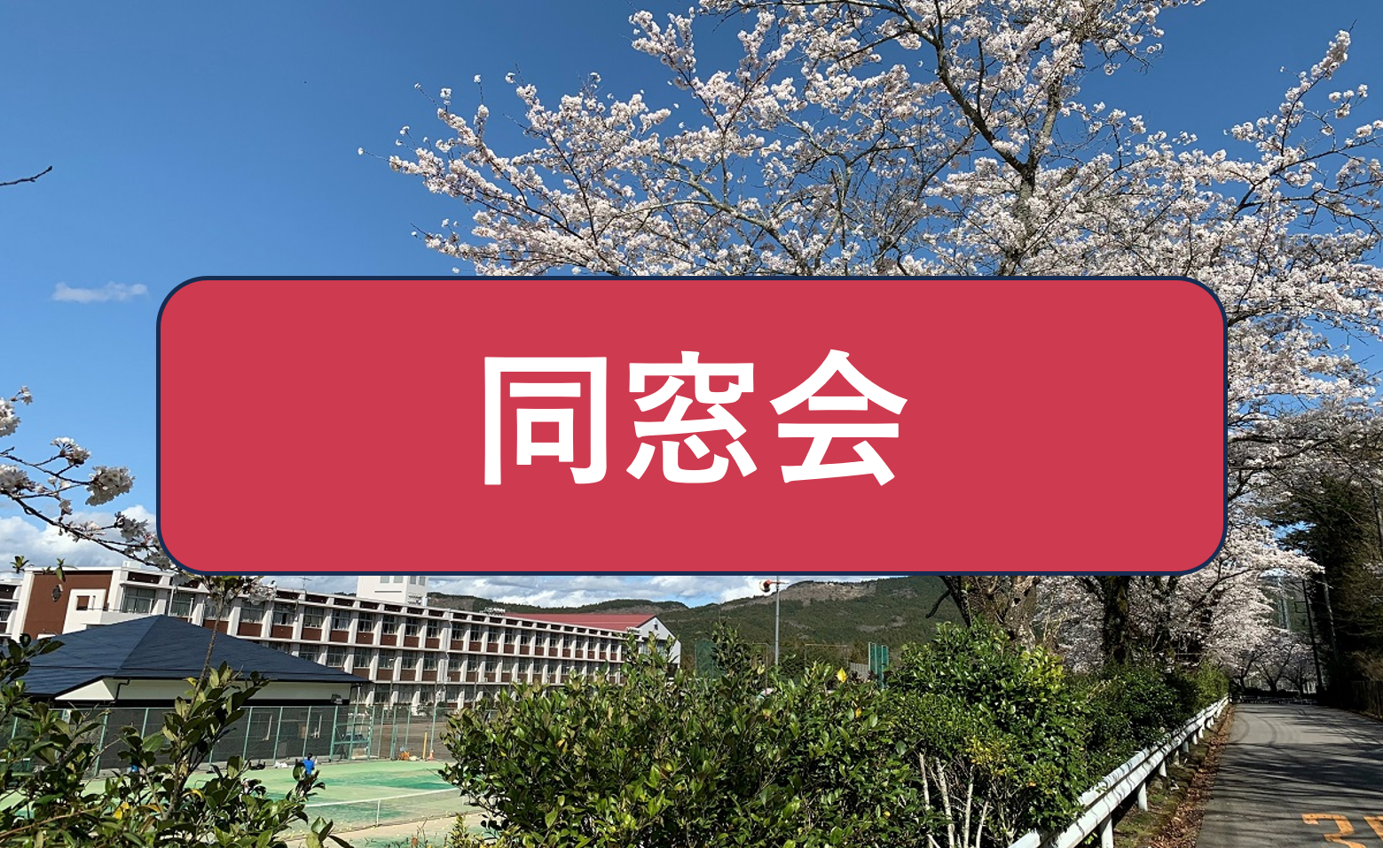 同窓会
