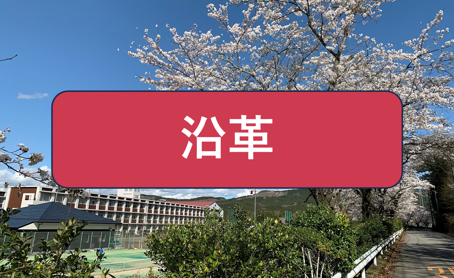 沿革