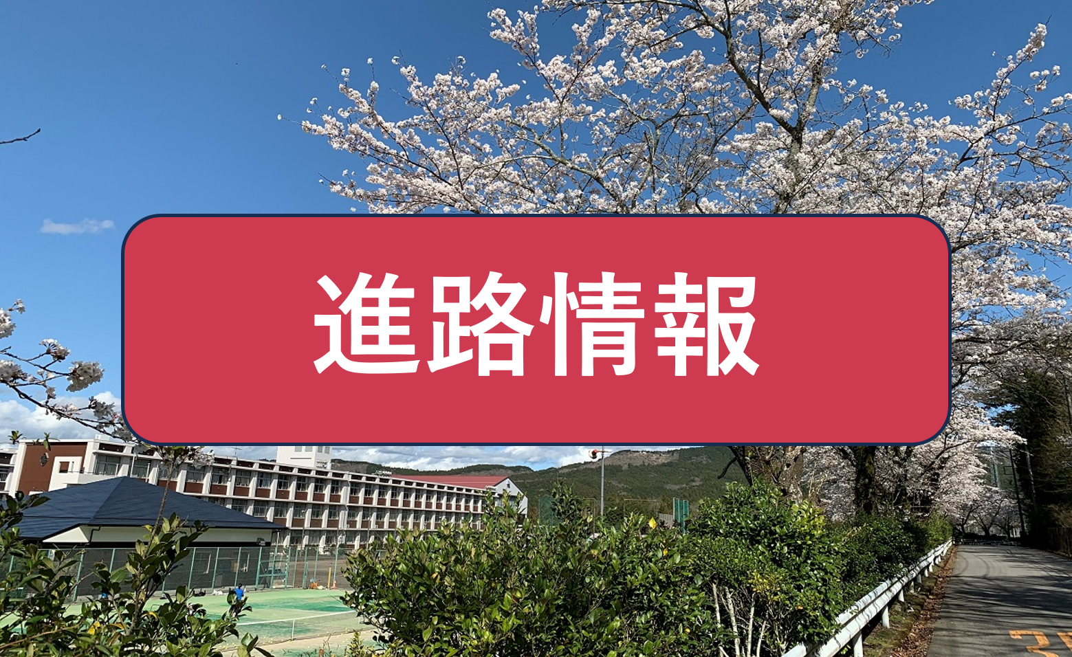 進路情報