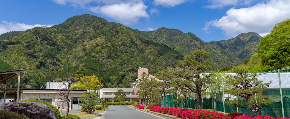 正門からの光景