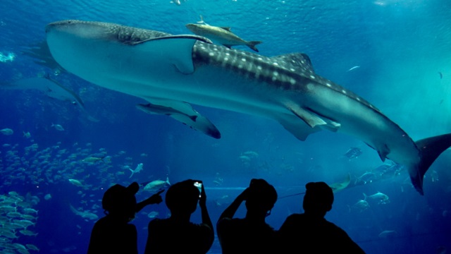 水族館