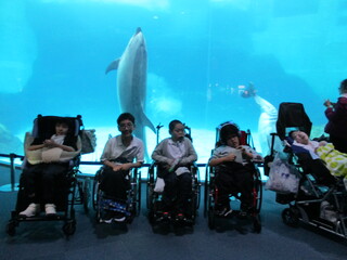 水族館1