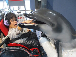 水族館3