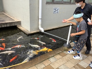 うぉっと3