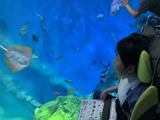 うぉっと4