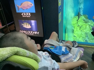 うぉっと１