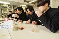 地紅茶サミット２