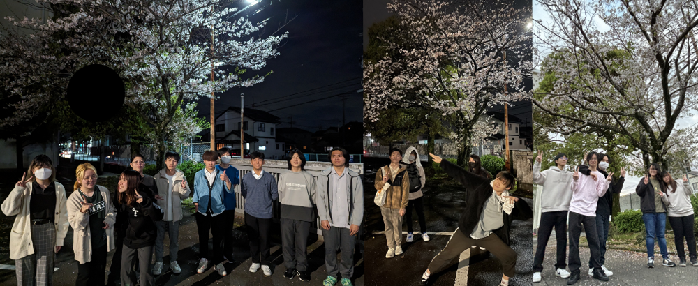 R6桜集合