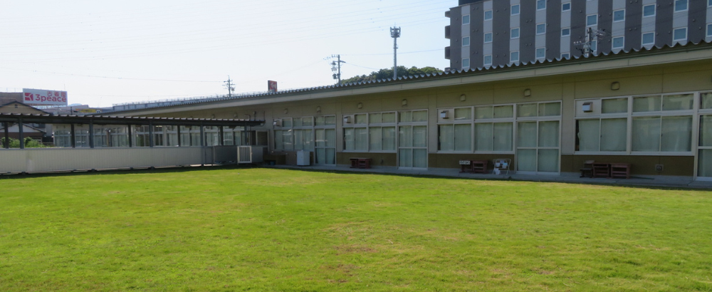 中庭から高等部棟