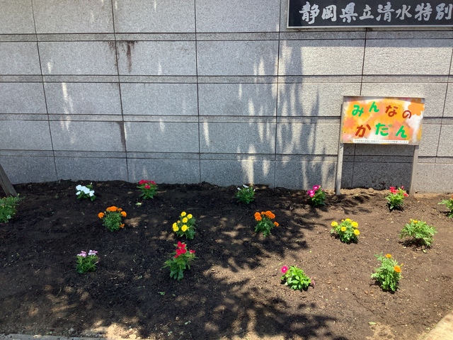 花壇③