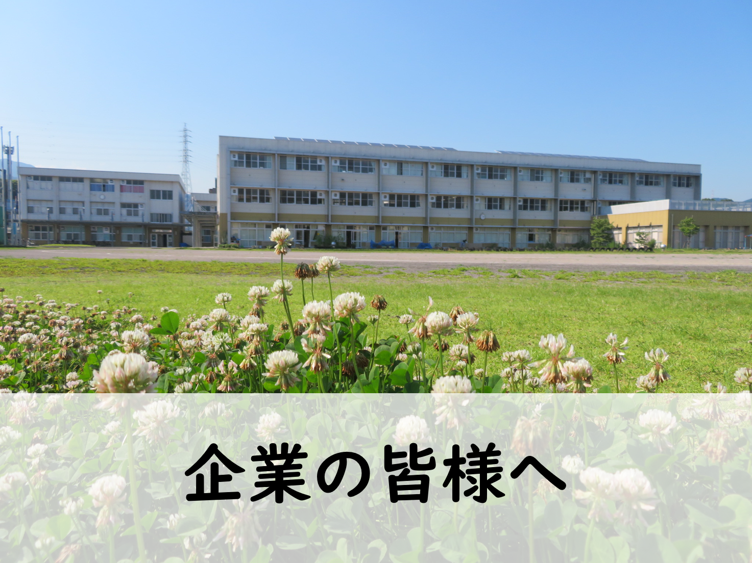 企業の皆様へ