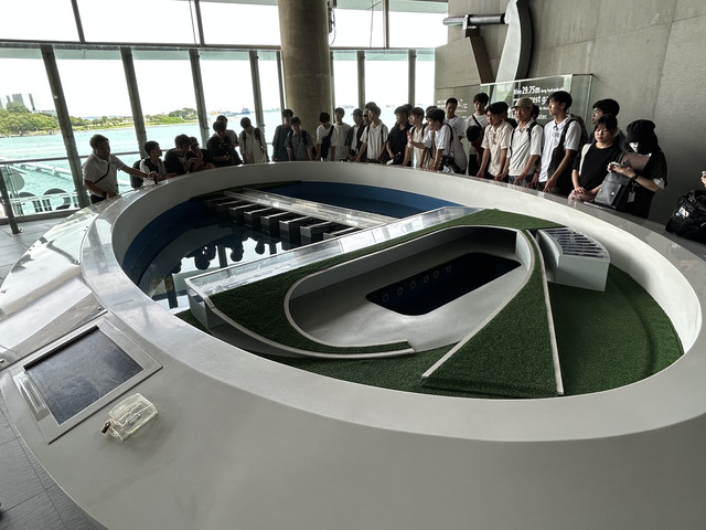 マリーナバラッジ研修