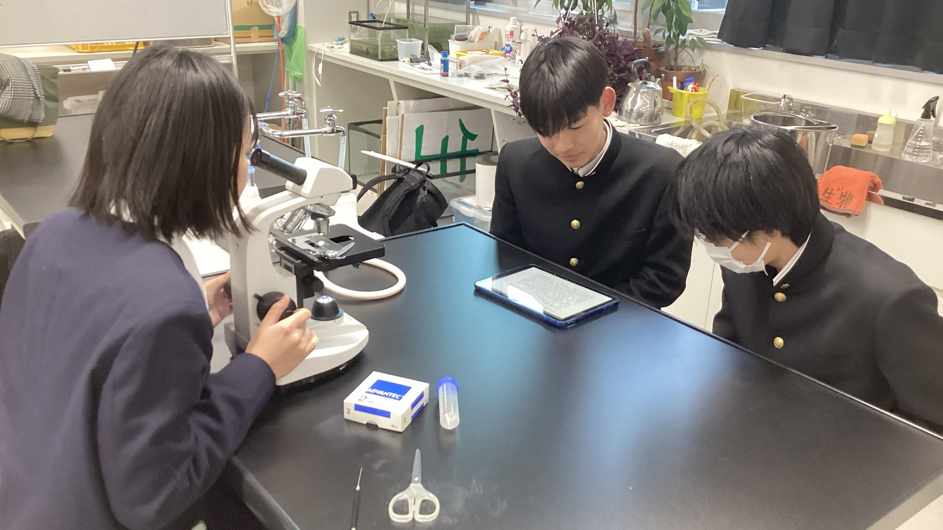 自然科学　生物班