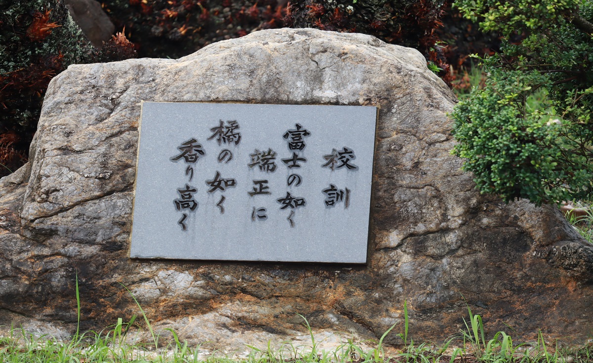 学校概要