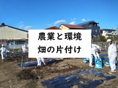 農業と環境（畑の片付け）