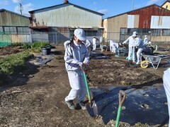 農業と環境（畑の片付け）